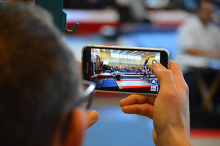 爱游戏ayx-中国篮球联赛市场细分与精准营销研究，全国篮球联赛优势